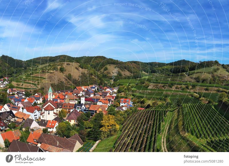 Luftaufnahme von Schelingen am Kaiserstuhl mit Blick auf die Weinberge. Schelingen, Vogtsburg am Kaiserstuhl, Breisgau, Schwarzwald, Freiburg, Baden-Württemberg, Deutschland.