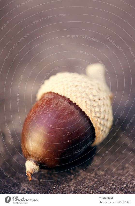 French Style III Kunst ästhetisch Zufriedenheit Natur Naturschutzgebiet Naturwissenschaft Eicheln Herbst herbstlich Herbstfärbung Herbstwald Farbfoto