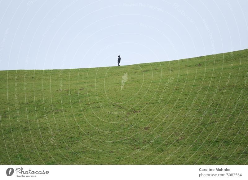 Jemand spaziert schlendern Natur Außenaufnahme Farbfoto laufen Spaziergang Mensch Landschaft Wege & Pfade Einsamkeit Tag wandern Erwachsene Erholung Frau Herbst