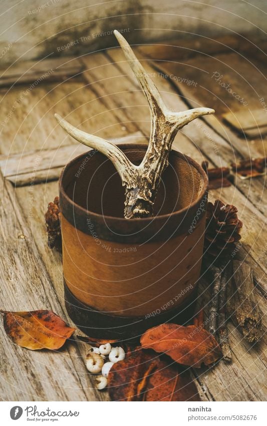 Rustikales Stillleben Hintergrund mit wilden und Wald Zeug Herbst fallen Holz Hupe rustikal Blatt Kiefernzapfen vertikal gealtert Tier Hirsche Forstwirtschaft