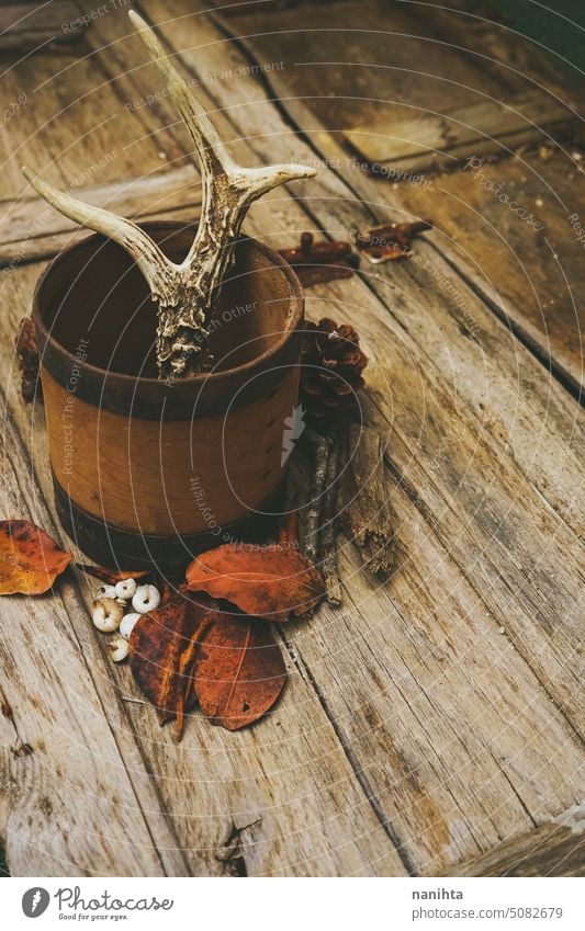 Rustikales Stillleben Hintergrund mit wilden und Wald Zeug Herbst fallen Holz Hupe rustikal Blatt Kiefernzapfen vertikal gealtert Tier Hirsche Forstwirtschaft