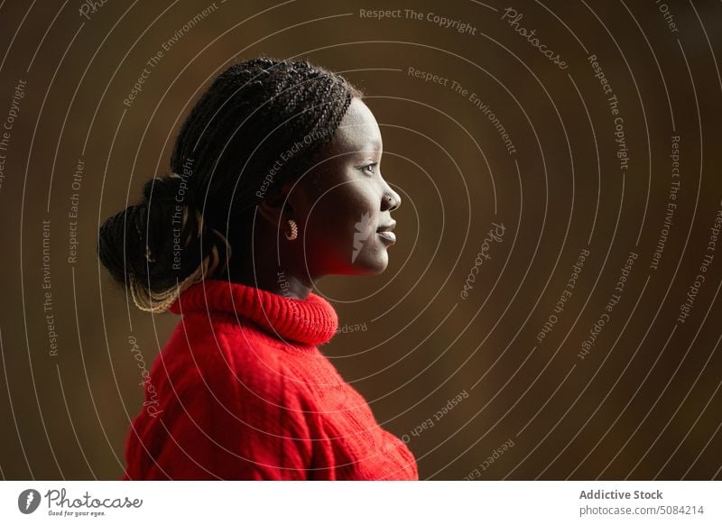 Ruhige schwarze Frau schaut in die Kamera Model Porträt Afro-Zöpfe Vorschein Persönlichkeit Atelier brauner Hintergrund Menschliches Gesicht Windstille Dame