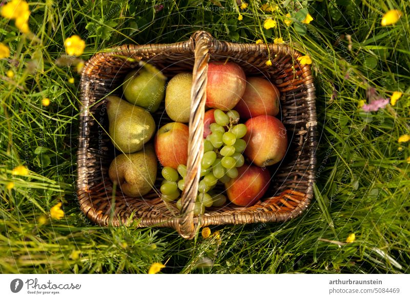 Obstkorb im Frühling in der Blumenwiese Blüte Früchte apfel blau blumen blühen ernähren ernährung frühling gelb gesund gesunde ernährung gras obst sommer sonne