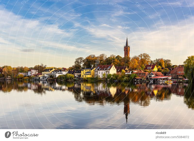 Blick über den Haussee auf die Stadt Feldberg See Feldberger Seenlandschaft Mecklenburg-Vorpommern Kirche Turm Kirchturm Gebäude Architektur Ufer Landschaft