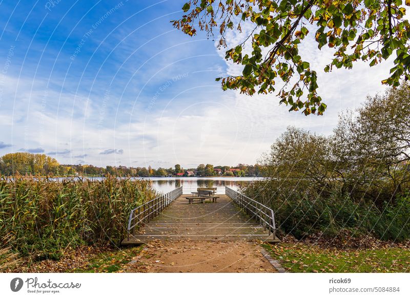 Blick über den Haussee auf die Stadt Feldberg See Feldberger Seenlandschaft Mecklenburg-Vorpommern Gebäude Architektur Ufer Steg SitzbankLandschaft Natur Wald