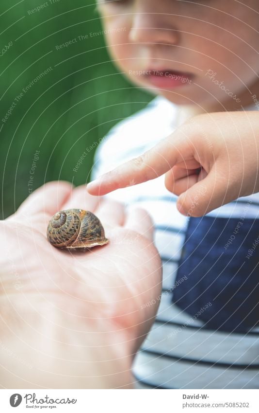 Vater erklärt seinen Kindern etwas erklären Natur zeigen Papa gemeinsam Sohn Zeigefinger Schnecke erkunden zusammen Eltern beobachten interessiert Neugier