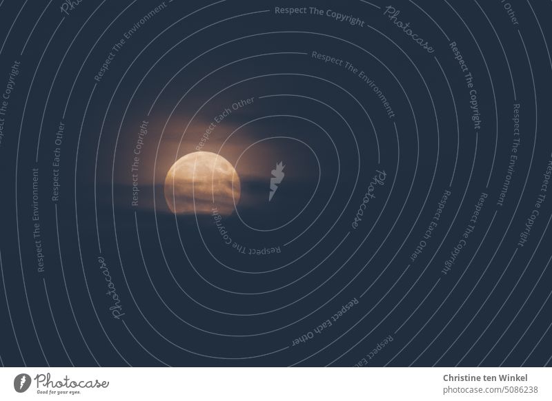 verschleiert | der aufgehende Vollmond hinter den Wolken Mond Nacht Himmel dunkel Mondschein Nachthimmel Stimmung Lichterscheinung Mondaufgang Natur