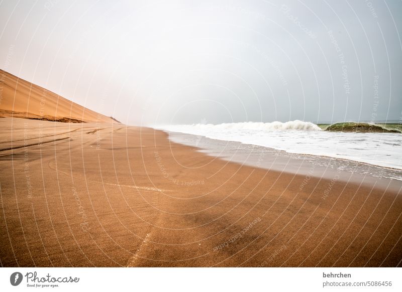 alles nimmt seinen lauf Sanddüne Wellen Wasser Dunes beeindruckend magisch Düne traumhaft Swakopmund Walvisbay Himmel Horizont Ferien & Urlaub & Reisen Freiheit