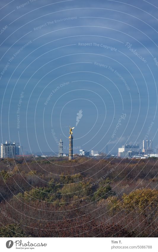 Berlin Tiergarten im Herbst mit Siegessäule Farbfoto Denkmal Goldelse Hauptstadt großer stern gold viktoria Deutschland Textfreiraum tiergarten stadtpark