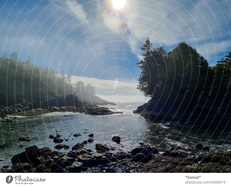 MacKenzie Beach im nebel Strand Wasser Sonne Himmel Wolken Nebel Felsen Bäume Meer Natur Küste Landschaft schleierwolken Horizont Sommer Pazifik Tofino