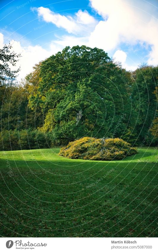 Frederiksborg Schlosspark im Herbst mit mächtigen Laubbäumen auf den Gartenwiesen Louises Schloss Frederiksborg Wasser Burg oder Schloss Spaziergang Dänemark