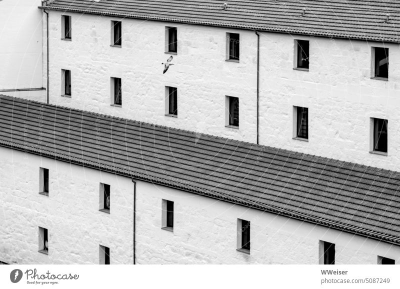 Alles nur Fassade: ein Hotel, das ein wenig wie ein Bunker wirkt, mit fliegender Möwe Haus Wohnhaus Festung Fenster Reihe Geometrie Gebäude Architektur