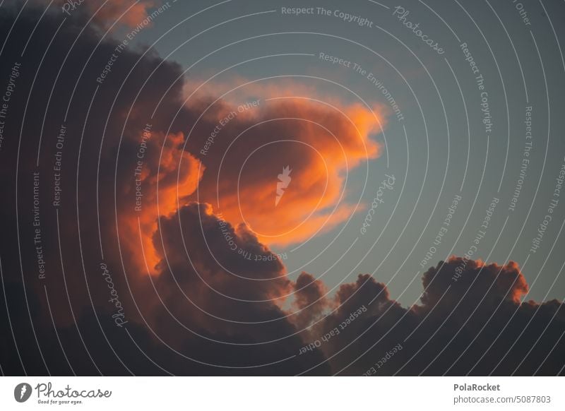 #A0# Orange Wolke an Himmel Himmel (Jenseits) himmelblau Himmelskörper & Weltall himmelwärts Himmelszelt Himmelsrichtung Himmelstor himmelslichter