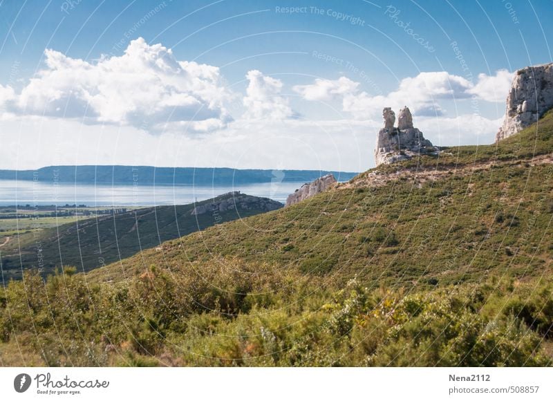 Das versteinertes Pärchen Umwelt Natur Landschaft Erde Luft Himmel Wolken Sonne Sommer Herbst Schönes Wetter Wärme Pflanze Sträucher Hügel Felsen