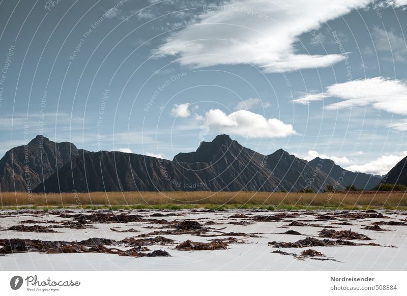 Lofoten Ferien & Urlaub & Reisen Ausflug Ferne Freiheit Sommer Strand Berge u. Gebirge Landschaft Sand Wolken Schönes Wetter Meer exotisch ruhig Fernweh