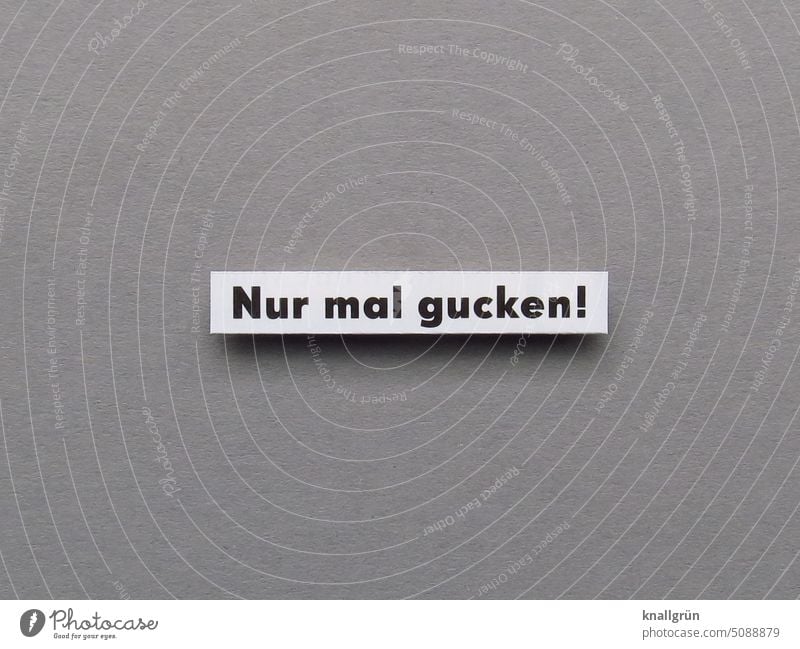 Nur mal gucken! Neugier Interesse Blick ansehen Wachsamkeit beobachten entdecken Überraschung Buchstaben Wort Satz Farbfoto Letter Typographie Nahaufnahme