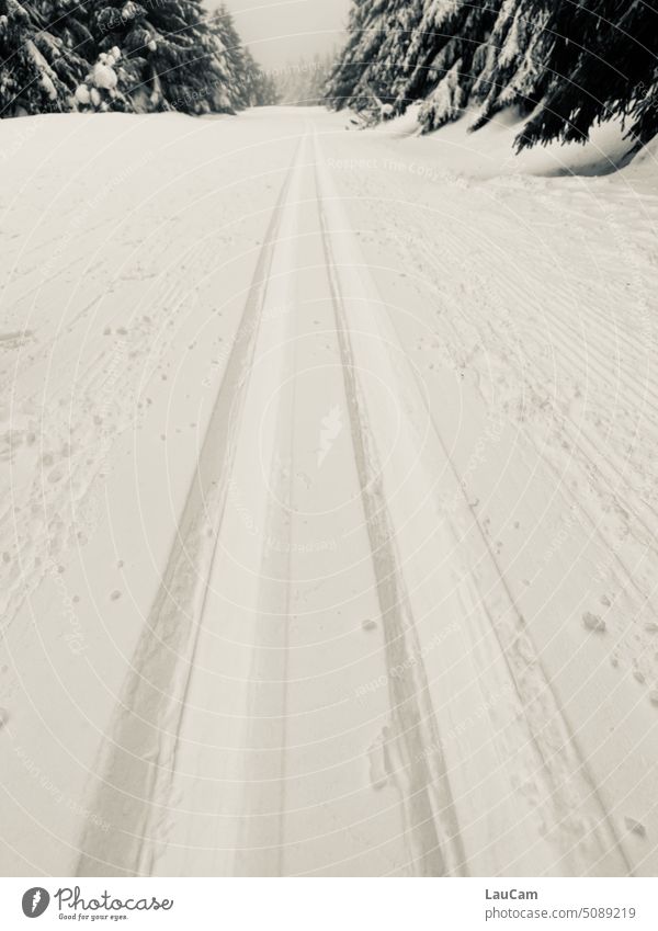 In der Spur - geradeaus in den Winter Loipe gespurt Winterlandschaft Winterlandschaft mit Bäumen Schneelandschaft Winterstimmung Schneedecke Wintertag weiß