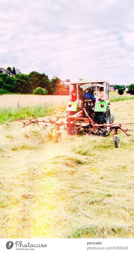 freundschaft | einen sommer lang Traktor Heu Sommer Landschaft Landwirtschaft Ferien Freundschaft Natur Erholung Bauernhof Kinder Heuernte Heuwender Umwelt