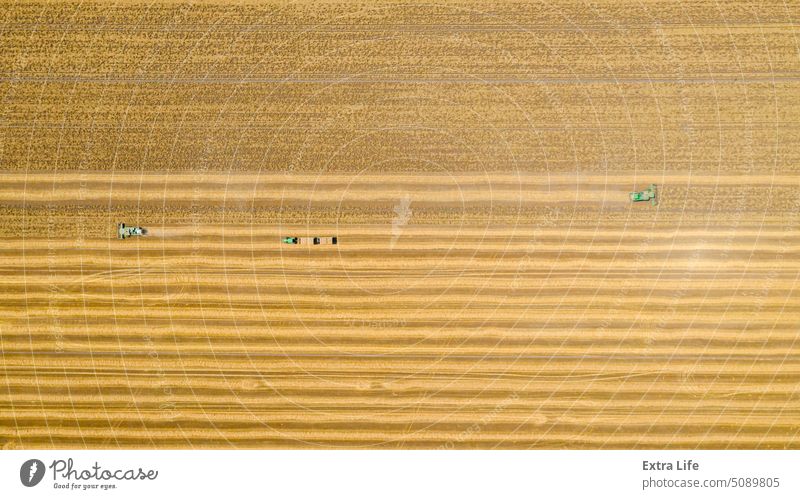 Blick von oben auf Mähdrescher, Erntemaschine, erntereifes Getreide Antenne Ackerbau Müsli Bodenbearbeitung geschnitten trocknen Staubwischen staubig