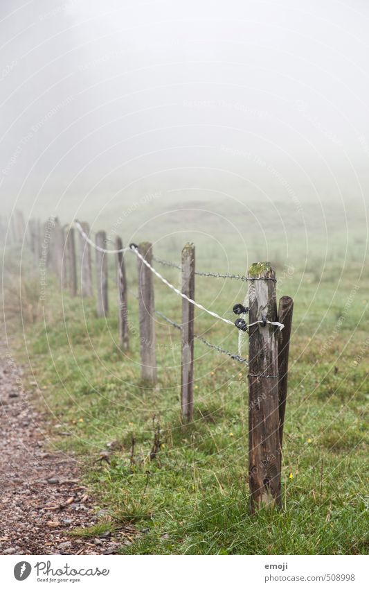 ich hab auch so eins Umwelt Natur Landschaft Herbst schlechtes Wetter Nebel Feld natürlich grau grün Zaunpfahl ländlich Farbfoto Gedeckte Farben Außenaufnahme