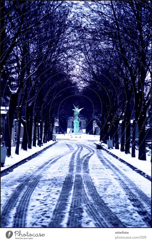 Friedhof Montparnasse / Paris Winter kalt Gare de Montparnasse Schnee Tauer Traurigkeit