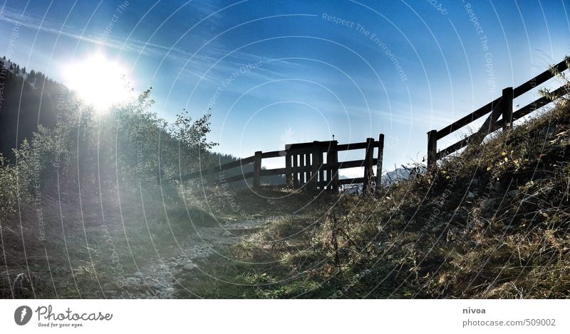 wiesenweg Tourismus Ausflug Ferne Freiheit Berge u. Gebirge wandern Sport Natur Landschaft Himmel Sonne Herbst Schönes Wetter Pflanze Sträucher Moos Hügel