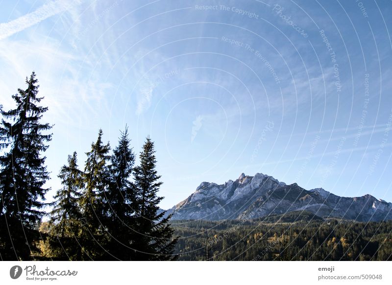 Pilatus Umwelt Natur Landschaft Pflanze Himmel Wolkenloser Himmel Frühling Sommer Herbst Baum Felsen Alpen Berge u. Gebirge gigantisch groß natürlich blau