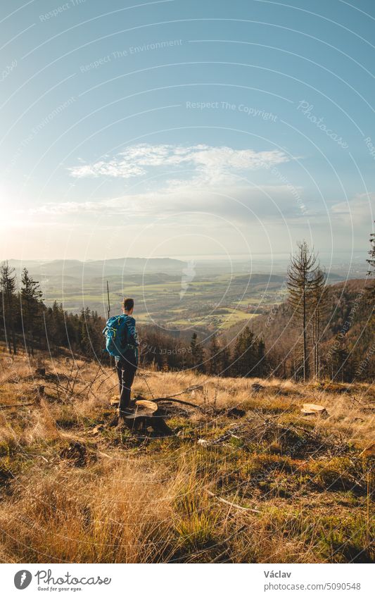 Ein begeisterter Wanderer steht auf einem Baumstumpf in einem kahlgeschlagenen Wald und blickt ins Tal hinunter, glücklich darüber, einen weiteren Berg erklommen zu haben. Das Ziel ist erreicht. Beskiden, Tschechische Republik