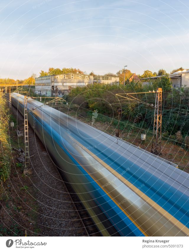 Blau-gelbe Bahn fährt mit hoher Geschwindigkeit unter einer Brücke hindurch Zug Bahnfahren Schienenverkehr Verkehrsmittel Öffentlicher Personennahverkehr S-Bahn