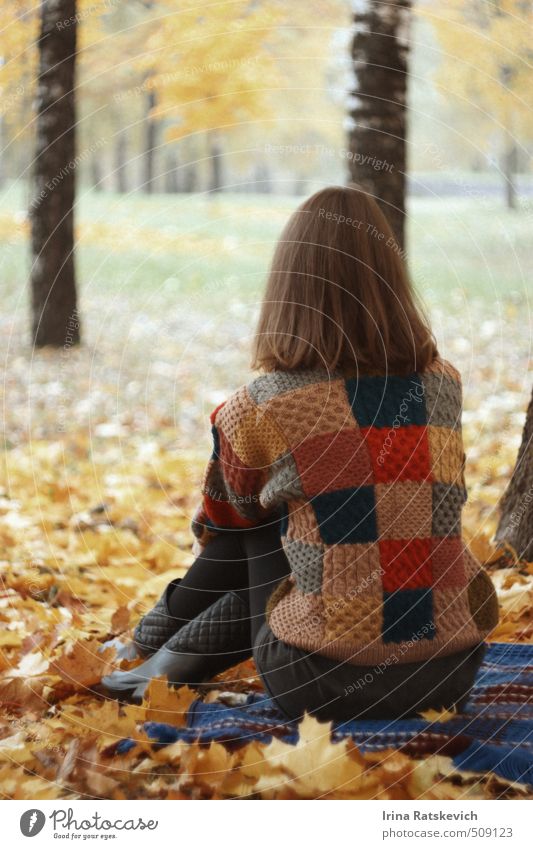 Herbsteinsamkeit Freiheit Mensch Jugendliche Leben Körper Kopf Haare & Frisuren Rücken Beine 1 18-30 Jahre Erwachsene Natur Landschaft Wetter Schönes Wetter