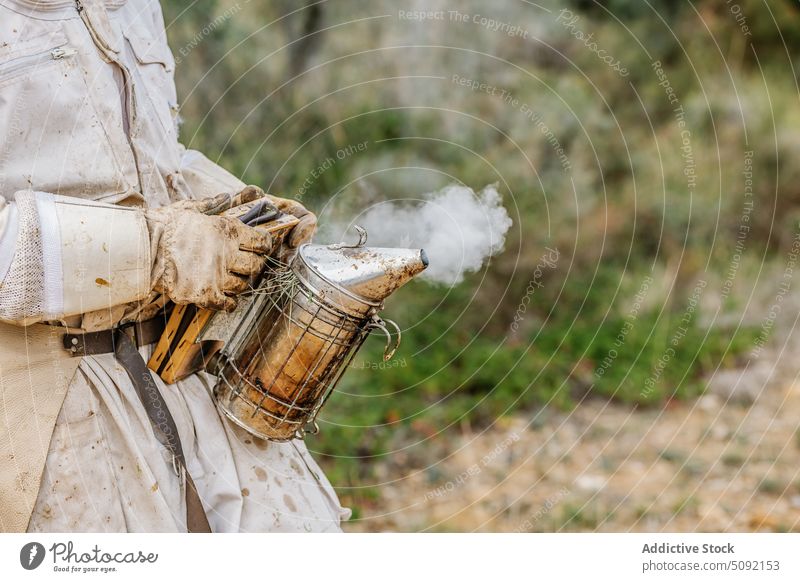 Anonymer Imker im Bienenstock mit Bienenrauchsender Mann Rauch Sender Bienenkorb Person Landschaft Arbeit beschäftigt Bienenzucht Liebling Werkzeug Gerät Hobby