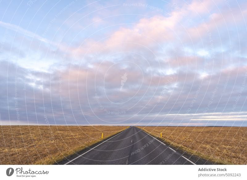 Asphaltstraße auf dem Lande unter Himmel Straße trocknen Feld Landschaft Natur leer Vik Gras reisen wolkig Island Weg Fahrbahn Wiese malerisch Umwelt