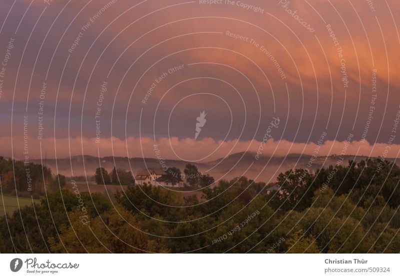 Abenddämmerung im Nebel Abenteuer Natur Landschaft Herbst Feld Alpen Berge u. Gebirge außergewöhnlich bedrohlich schön blau braun violett orange rosa