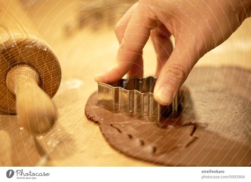 Schokobäumchen backen Plätzchen backen Weihnachtsgebäck Schokoladenplätzchen Teigrolle Plätzchenteig Backwaren Ausstechform Weihnachten lecker Innenaufnahme