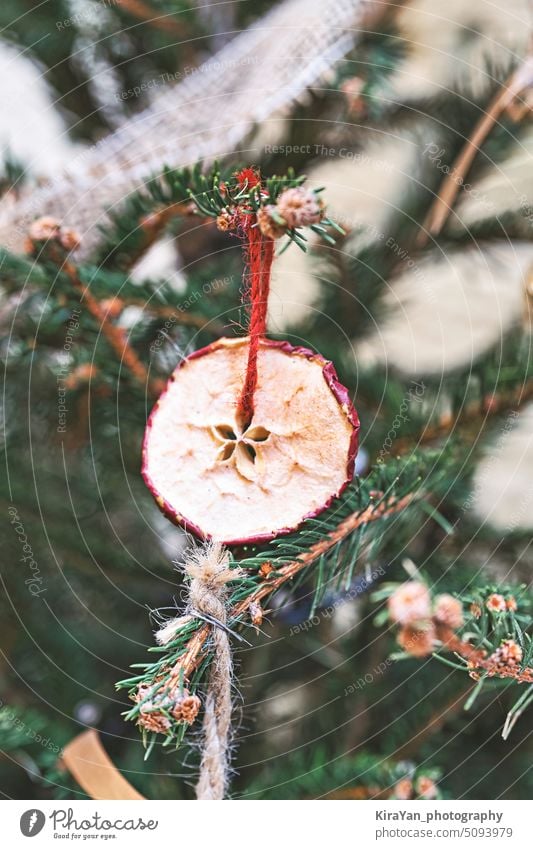 Weihnachtsbaumschmuck mit getrocknetem Apfelstück mit Band. Natürlicher Weihnachtsschmuck für den Weihnachtsbaum, Zero Waste Weihnachten Baum diy