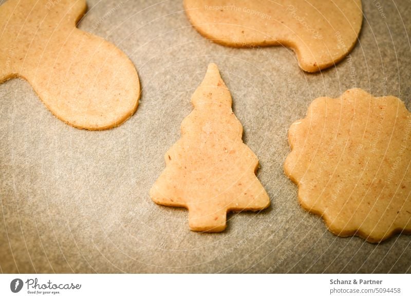 ausgestochener roher Teig als Tannenbaum für Weihnachtsplätzchen auf Backpapier Weihnachten Gebäck Plätzchen Weihnachtsbaum Backen Weihnachtsgebäck