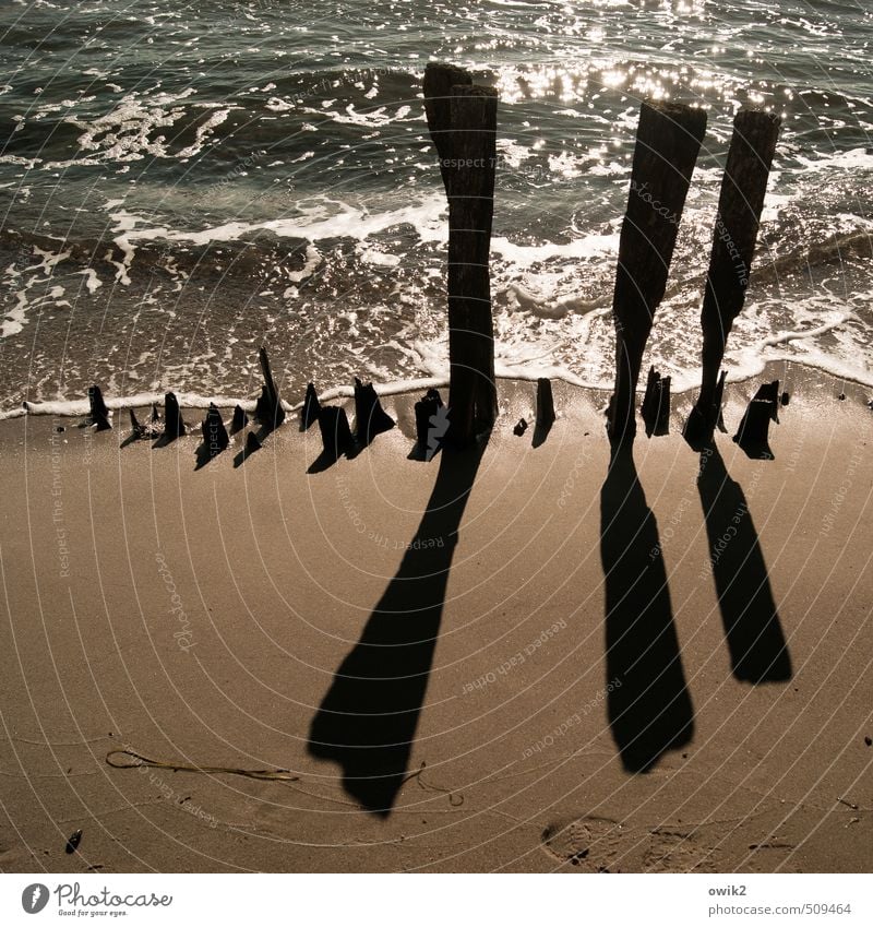 Alter Damm Umwelt Natur Landschaft Sand Wasser Klima Schönes Wetter Wellen Strand Ostsee Holz glänzend leuchten stehen alt Zusammensein historisch Spitze