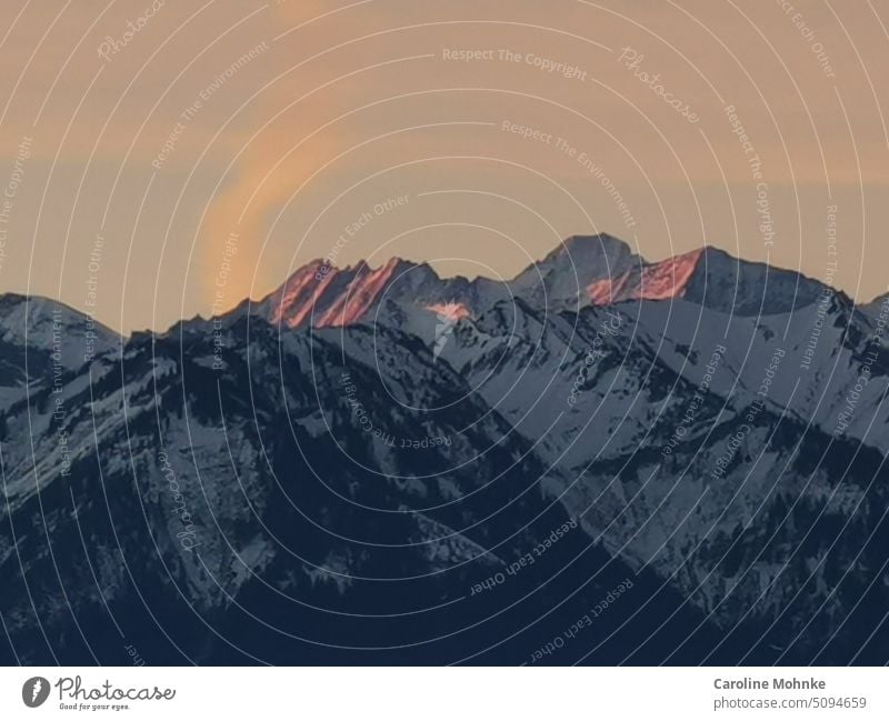 Schneebedeckte Berggipfel leuchten in der Abendsonne Berge Gipfel Berge u. Gebirge Alpen Außenaufnahme Felsen Menschenleer Natur Schneebedeckte Gipfel Umwelt