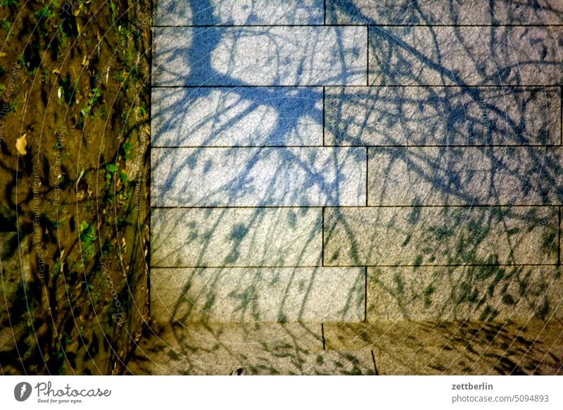 Schatten von Ästen abend deutschland dunkel dämmerung gebäude haus innenstadt kiez leben mitte nacht neubau stadtbezirk straßenfotografie street photography