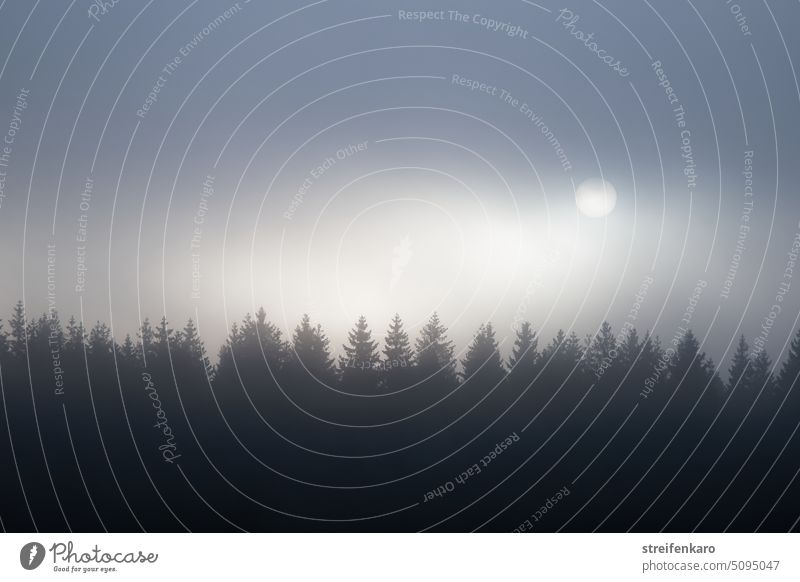 Düsterer Sonnenaufgang Nebel Wolken bewölkt dunstig Sonnenlicht diesig diesiges Wetter diesiger Himmel Grautöne Blautöne Herbst herbstlich herbstliche Stimmung