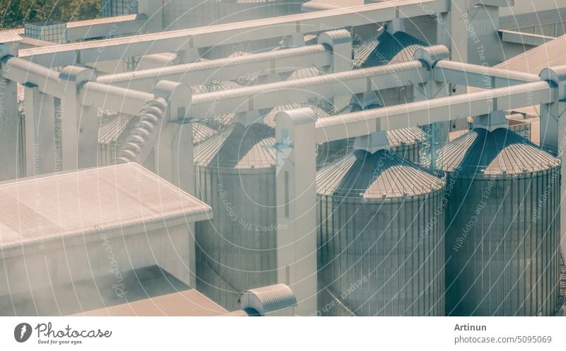 Tierfutterfabrik. Landwirtschaftliches Silo in einer Futtermittelfabrik. Tank für die Lagerung von Getreide, Mais, Sojabohnen in der Futtermittelherstellung. Saatgutturm für die kommerzielle Tierfutterherstellung. Tierfutter-Industrie.