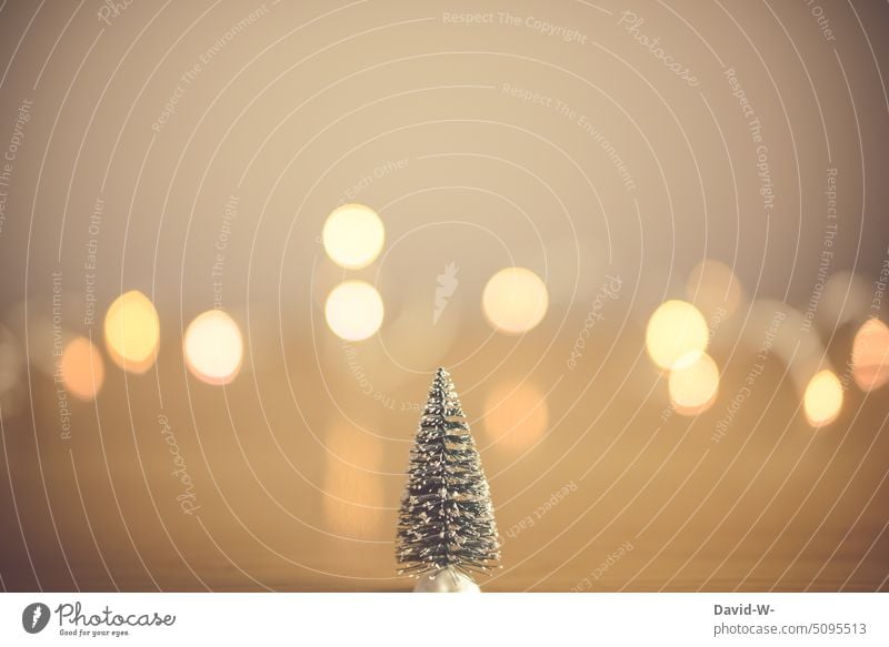 Weihnachtsdekoration - ein mit schneebedeckter Tannenbaum und festlichen Lichtern im Hintergrund Weihnachtskarte Weihnachten & Advent Lichterkette Schnee