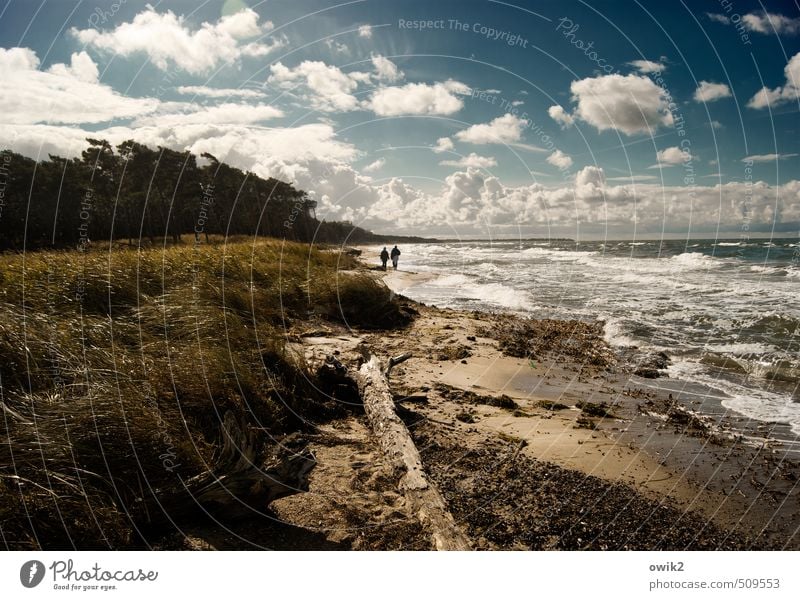 Strandgang Ausflug Ferne Freiheit wandern Mensch Frau Erwachsene Mann Paar Partner 2 Umwelt Natur Landschaft Pflanze Sand Wasser Himmel Wolken Horizont Klima