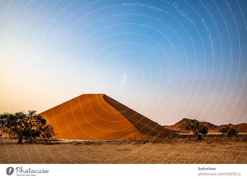 sandberg Licht Schatten Sossusvlei Sesriem dune 45 Sand Wüste Afrika Namibia Ferne Fernweh Sehnsucht reisen Farbfoto Landschaft Ferien & Urlaub & Reisen