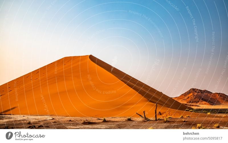 im großen und ganzen Wüste Afrika Namibia Ferne Sossusvlei Düne 45 traumhaft Himmel magisch Wärme Trockenheit Hitze Sand dune 45 Sesriem Fernweh reisen