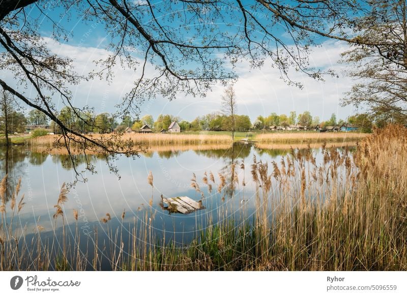 Weißrussisch oder Russisch Holzhaus im Dorf oder auf dem Land von Belarus oder Russland Länder mit See Teich Fluss im Frühling Tag weißrussland grün Szene Stadt