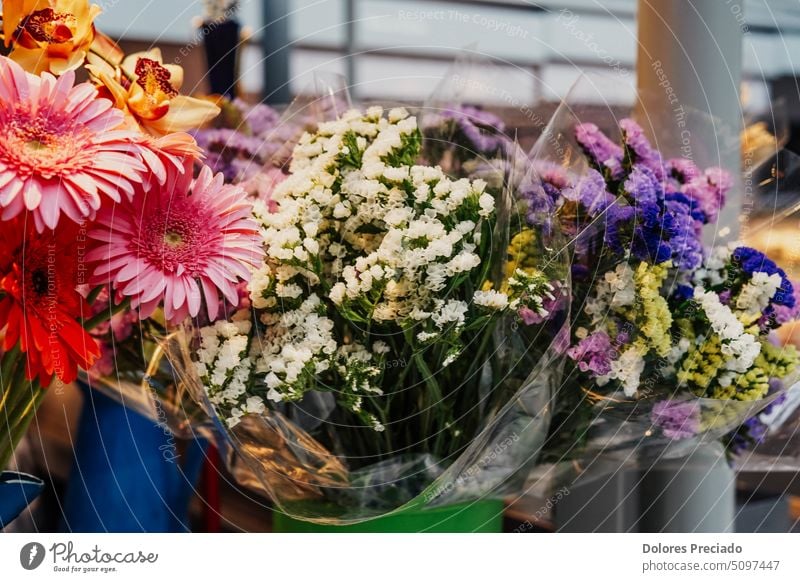 Eine Vielzahl von bunten Blumen zur Dekoration Kunst Herbst Hintergrund schön Schönheit Blütezeit botanisch Blumenstrauß Haufen Feier Farbe farbenfroh