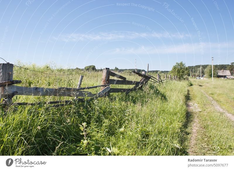 Schotterstraße im Dorf Straße Sibirien Natur Landschaft Gras ländlich Baum im Freien grün Schmutz Weg Wiese Cloud malerisch Himmel Feld Sommer blau leer Umwelt