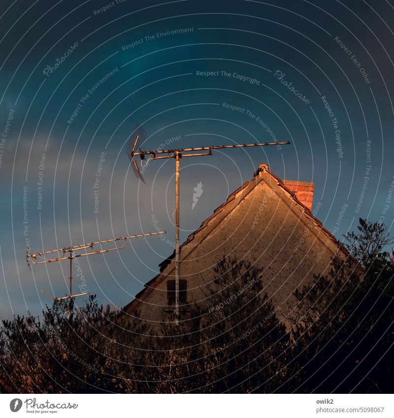 Abendschau Haus Wand Mauer Giebelseite Dachgiebel Wolken Himmel Sonnenlicht Sonnenuntergang Low Key Außenaufnahme Farbfoto ruhig dunkel Antenne leuchten Baum