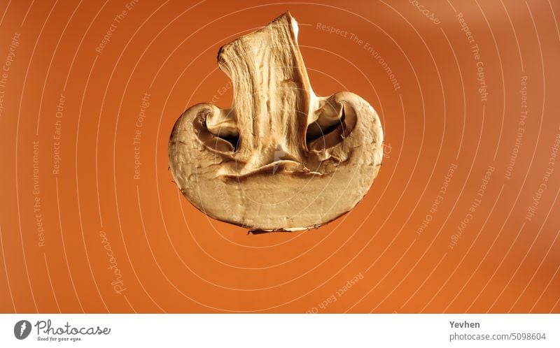 Ein frischer Champignon in einem Schnitt auf braunem Hintergrund. Eine Hälfte des Champignons in Großaufnahme. Saftiger Champignon, Kopierraum. Rohmaterial für die Zubereitung veganer Speisen.